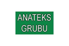 Anteks Grubu